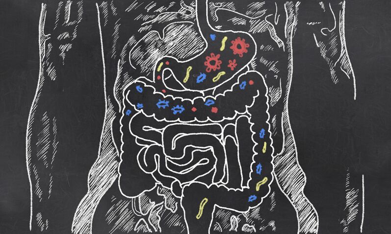 Parazity v gastrointestinálnom trakte človeka